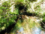 Culvert Crossing, Orland, Maine