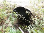 Culvert Crossing, Brooksville, Maine