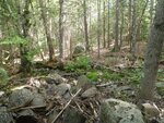 Culvert Crossing, Meadow Brook, Gouldsboro, Maine