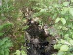 Culvert Crossing, Meadow Brook, Gouldsboro, Maine