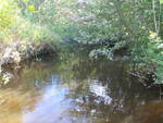 Culvert Crossing, Milbridge, Maine