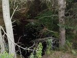Culvert Crossing, Gouldsboro, Maine