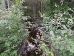 Culvert Crossing, Gouldsboro, Maine