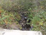 Multiple Culvert Crossing, Thurston Brook, Sedgwick, Maine