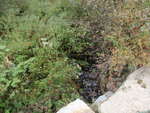 Multiple Culvert Crossing, Thurston Brook, Sedgwick, Maine