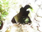 Culvert Crossing, Ellsworth, Maine