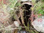 Culvert Crossing, Brooksville, Maine