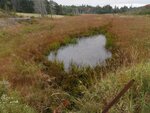 Culvert Crossing, Brooksville, Maine