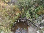 Culvert Crossing, Brooksville, Maine