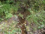 Culvert Crossing, Brooksville, Maine
