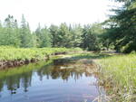 Bridge Crossing, Pembroke Stream, Day Block Twp, Maine