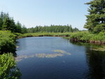 Bridge Crossing, Pembroke Stream, Day Block Twp, Maine