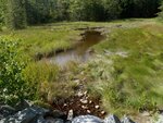 Culvert Crossing, Steuben, Maine