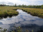 Culvert Crossing, Pineo Brook, Wesley, Maine
