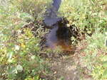 Culvert Crossing, Pineo Brook, Wesley, Maine
