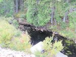 Culvert Crossing, Winter Harbor, Maine