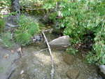 Culvert Crossing, Tannery Brook, Ellsworth, Maine