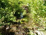 Culvert Crossing, Tannery Brook, Ellsworth, Maine
