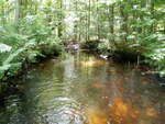 Culvert Crossing, Ellsworth, Maine