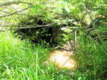 Culvert Crossing, Cherryfield, Maine