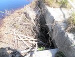 Culvert Crossing, Columbia, Maine