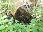 Culvert Crossing, Milbridge, Maine