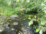 Multiple Culvert Crossing, West Brook, Franklin, Maine