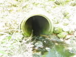 Culvert Crossing, Carter Brook, Ellsworth, Maine