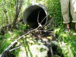 Culvert Crossing, Carter Brook, Ellsworth, Maine