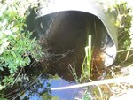 Culvert Crossing, Milbridge, Maine