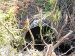 Culvert Crossing, Milbridge, Maine