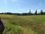 Culvert Crossing, Harrington, Maine