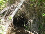 Culvert Crossing, Harrington, Maine
