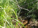 Culvert Crossing, Harrington, Maine