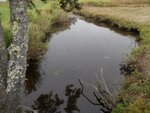 Culvert Crossing, Shepardson Brook, Brooksville, Maine