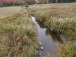 Culvert Crossing, Shepardson Brook, Brooksville, Maine