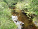 Multiple Culvert Crossing, Cream Brook, Sullivan, Maine