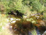 Multiple Culvert Crossing, Cream Brook, Sullivan, Maine