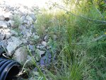 Culvert Crossing, Milbridge, Maine