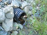 Culvert Crossing, Milbridge, Maine