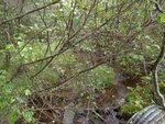 Multiple Culvert Crossing, Sullivan, Maine