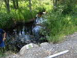 Culvert Crossing, Ellsworth, Maine