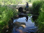 Culvert Crossing, Ellsworth, Maine