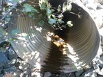 Culvert Crossing, Addison, Maine