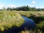 Culvert Crossing, Addison, Maine