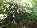 Culvert Crossing, Cherryfield, Maine
