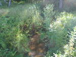 Culvert Crossing, Cherryfield, Maine