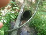 Culvert Crossing, Surry, Maine