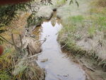 Culvert Crossing, Fish Creek, Deer Isle, Maine