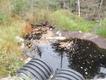 Multiple Culvert Crossing, Stonington, Maine